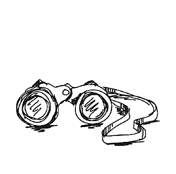 Vision Image